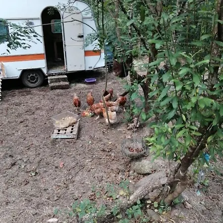 Les Roches D'hotes 3* Servant