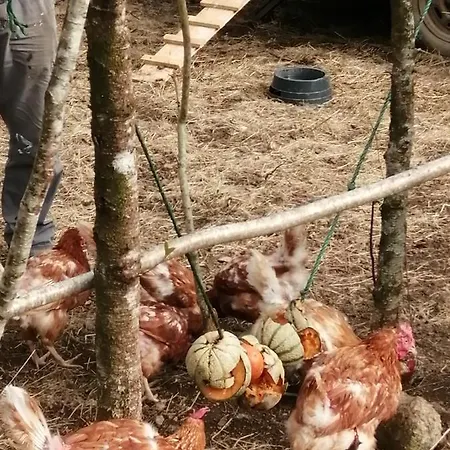 Alojamento de Acomodação e Pequeno-almoço Les Roches D'hotes 3*