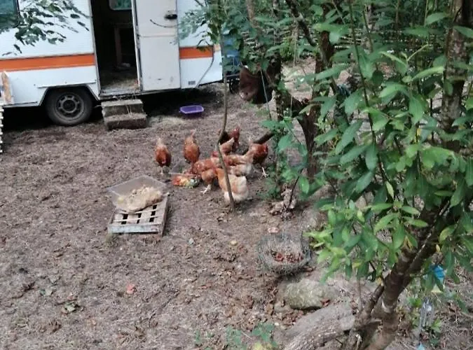 Les Roches D'hotes 3* Servant