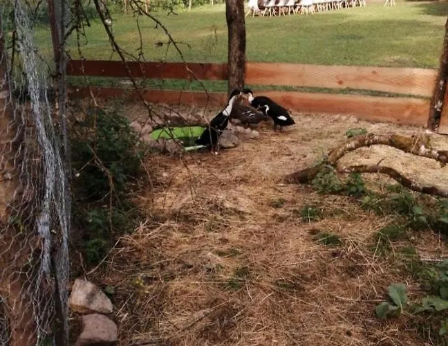 Les Roches D'hotes Servant