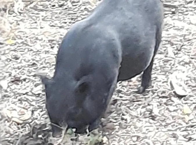 Bed & Breakfast Les Roches D'hotes Servant