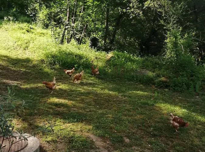 Les Roches D'hotes Oda ve Kahvaltı 3*