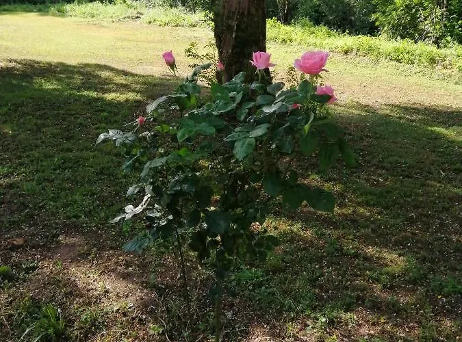 Les Roches D'hotes Bed & Breakfast