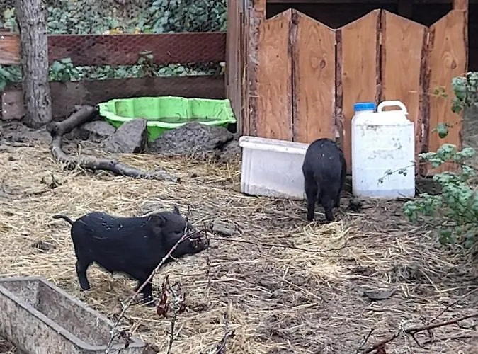 Les Roches D'hotes Bed & Breakfast 3*